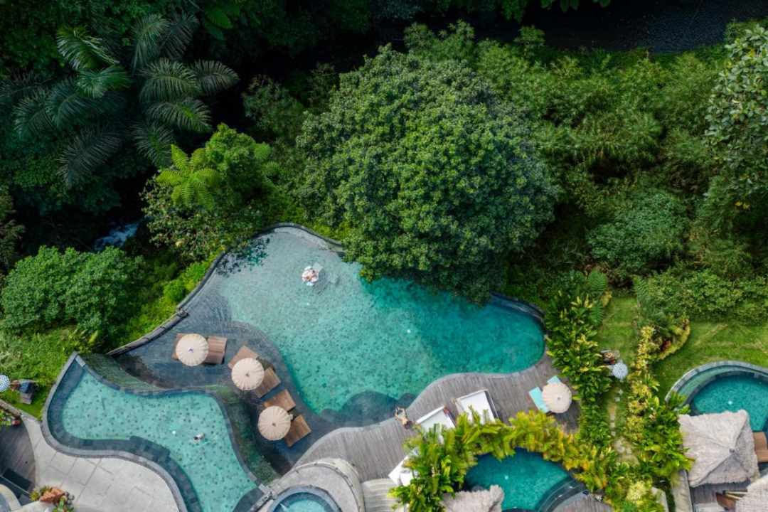 Ubud nature view
